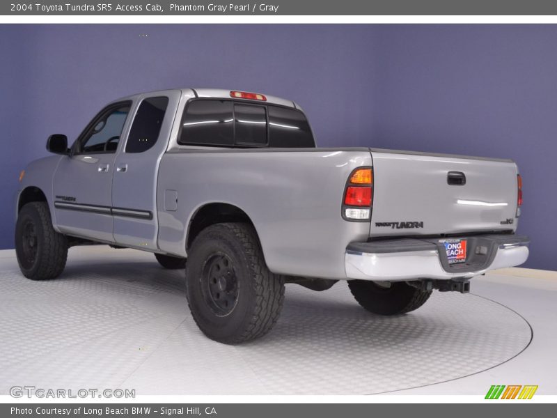 Phantom Gray Pearl / Gray 2004 Toyota Tundra SR5 Access Cab