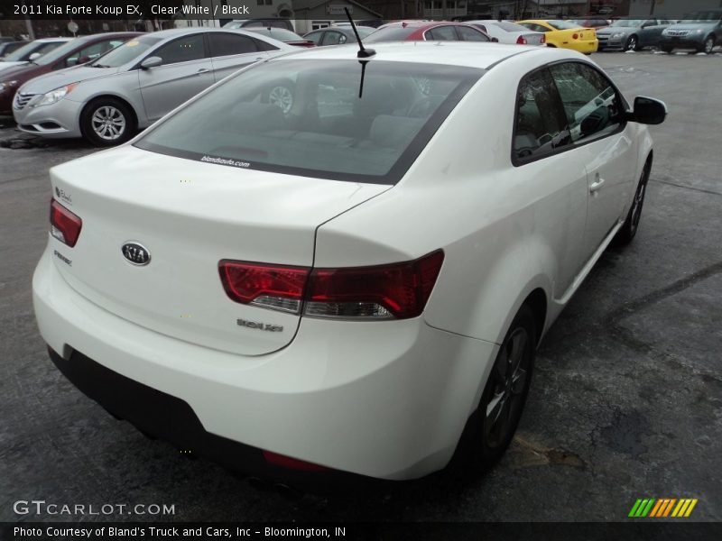 Clear White / Black 2011 Kia Forte Koup EX