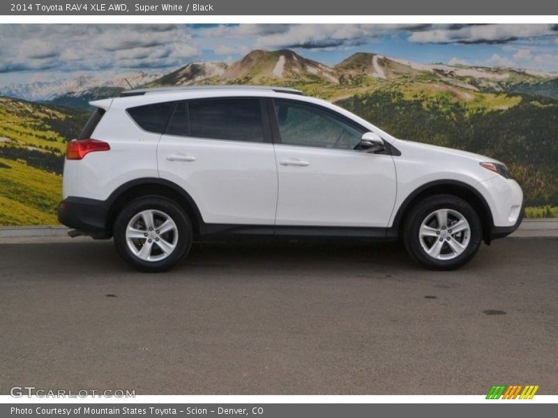 Super White / Black 2014 Toyota RAV4 XLE AWD