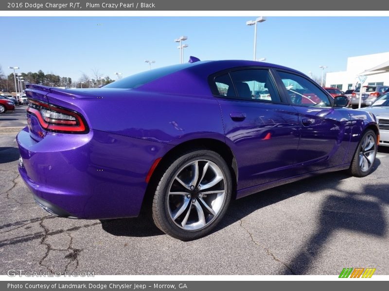 Plum Crazy Pearl / Black 2016 Dodge Charger R/T