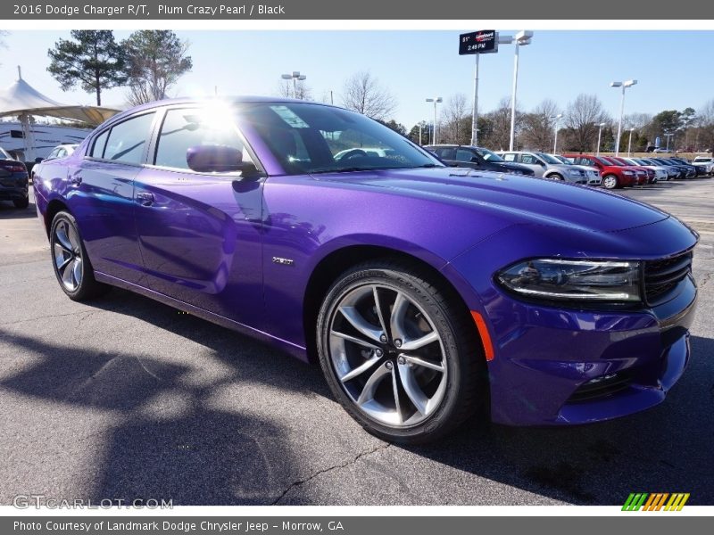 Plum Crazy Pearl / Black 2016 Dodge Charger R/T