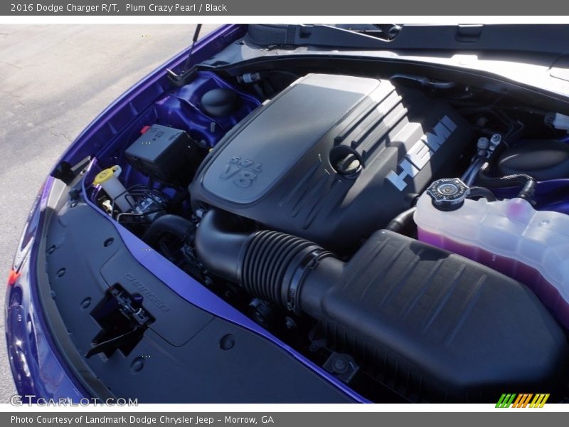 Plum Crazy Pearl / Black 2016 Dodge Charger R/T