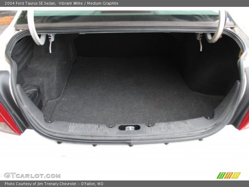 Vibrant White / Medium Graphite 2004 Ford Taurus SE Sedan