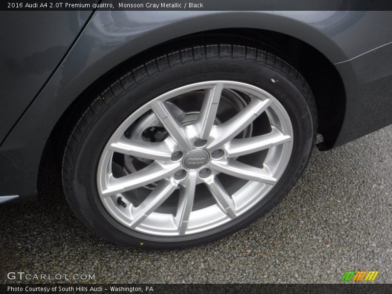 Monsoon Gray Metallic / Black 2016 Audi A4 2.0T Premium quattro