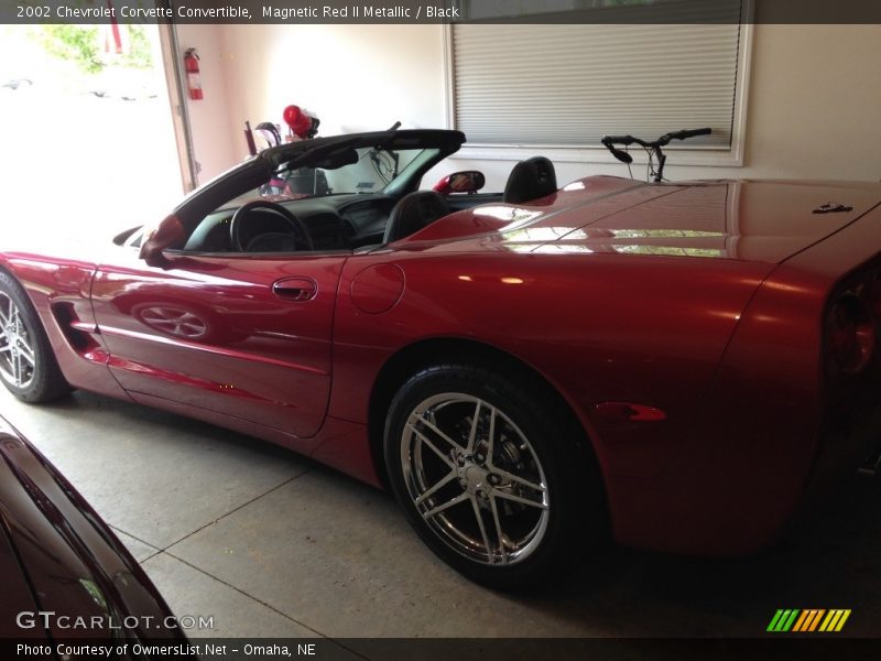 Magnetic Red II Metallic / Black 2002 Chevrolet Corvette Convertible