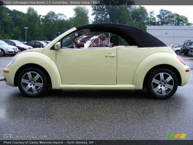 Mellow Yellow / Black 2006 Volkswagen New Beetle 2.5 Convertible