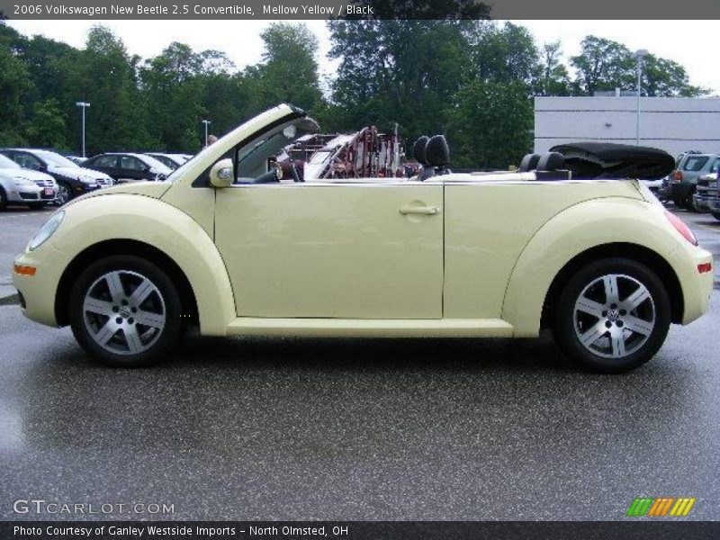 Mellow Yellow / Black 2006 Volkswagen New Beetle 2.5 Convertible