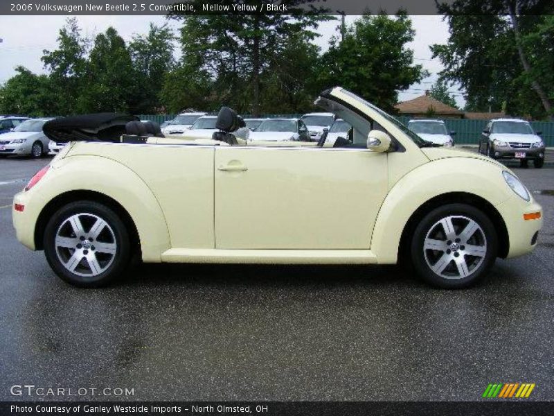 Mellow Yellow / Black 2006 Volkswagen New Beetle 2.5 Convertible