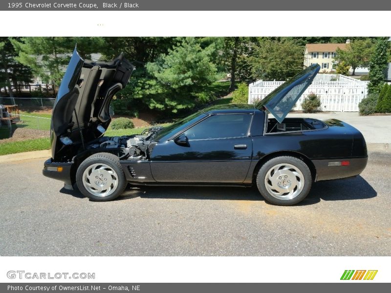 Black / Black 1995 Chevrolet Corvette Coupe