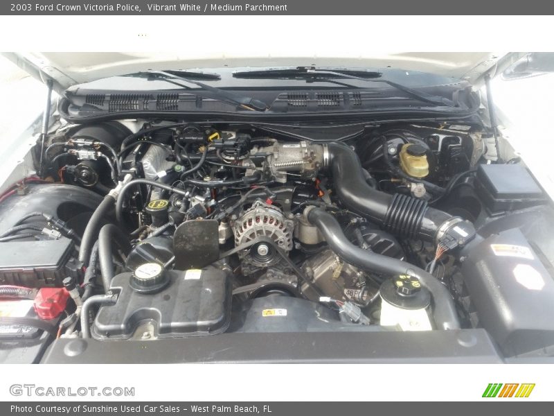 Vibrant White / Medium Parchment 2003 Ford Crown Victoria Police