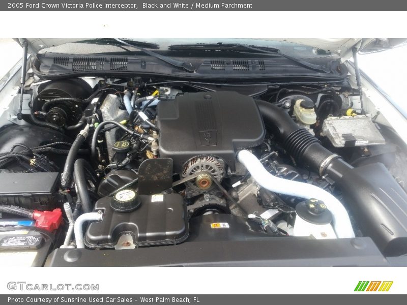 Black and White / Medium Parchment 2005 Ford Crown Victoria Police Interceptor