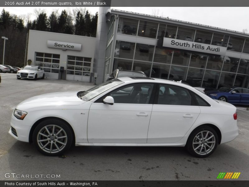 Ibis White / Black 2016 Audi A4 2.0T Premium quattro