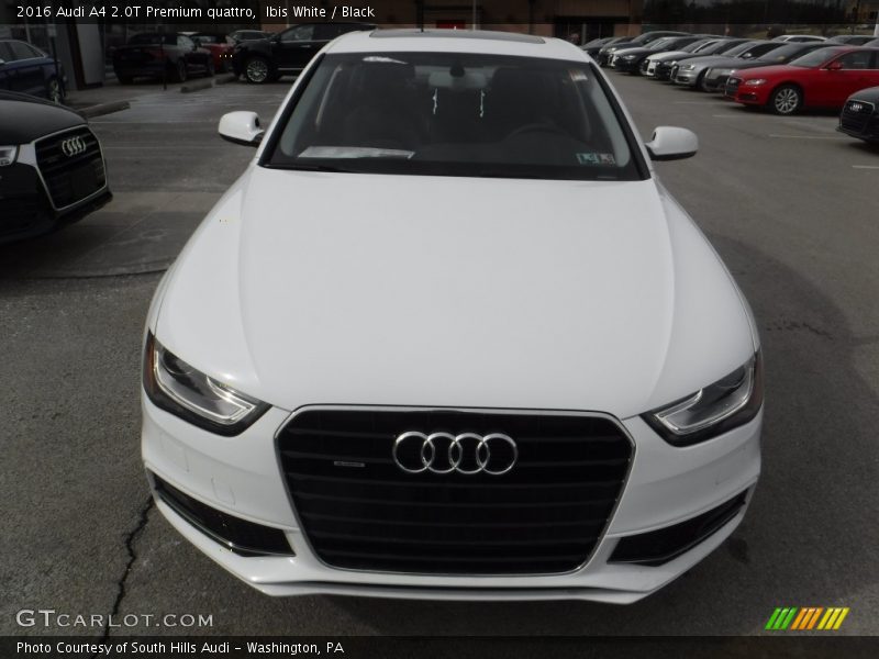 Ibis White / Black 2016 Audi A4 2.0T Premium quattro