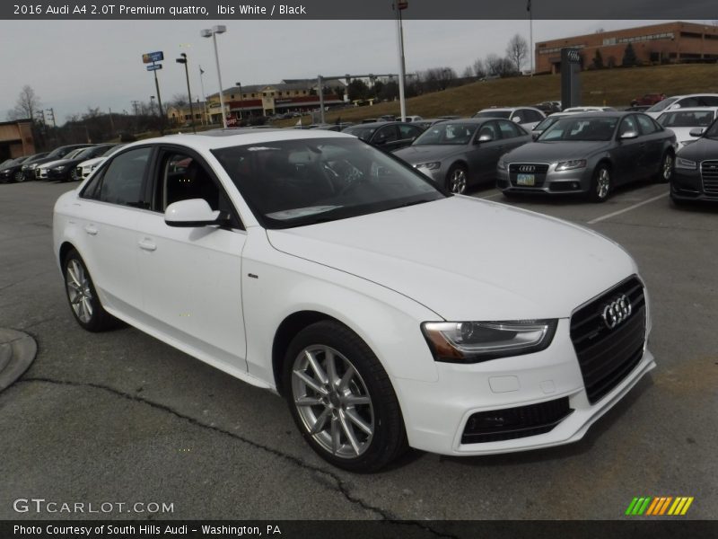 Ibis White / Black 2016 Audi A4 2.0T Premium quattro