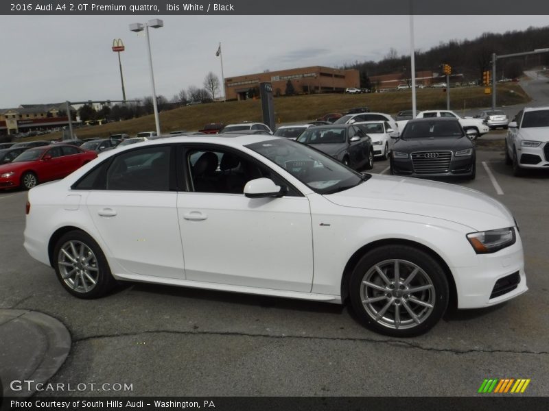 Ibis White / Black 2016 Audi A4 2.0T Premium quattro