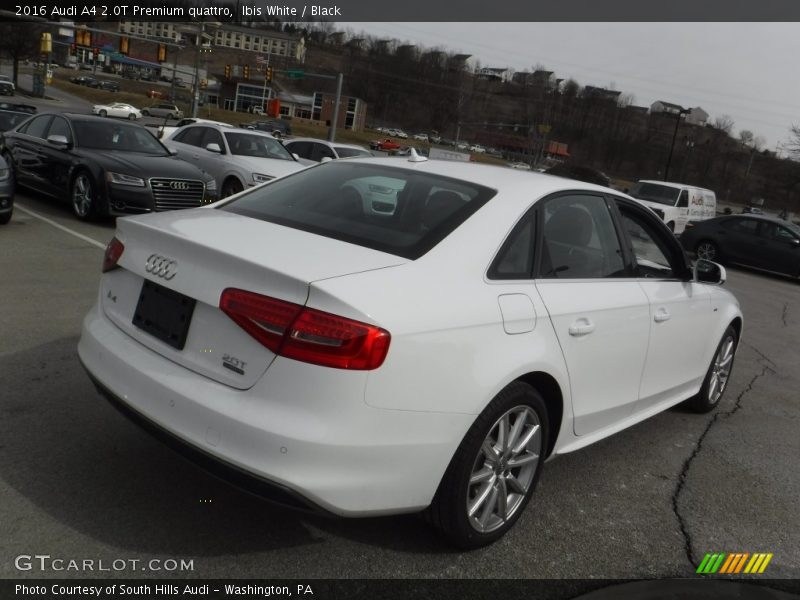 Ibis White / Black 2016 Audi A4 2.0T Premium quattro