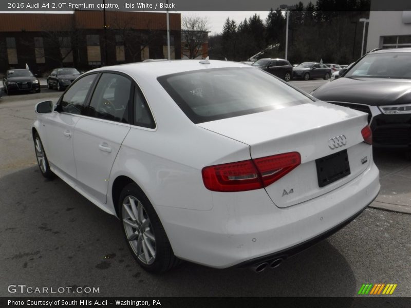 Ibis White / Black 2016 Audi A4 2.0T Premium quattro