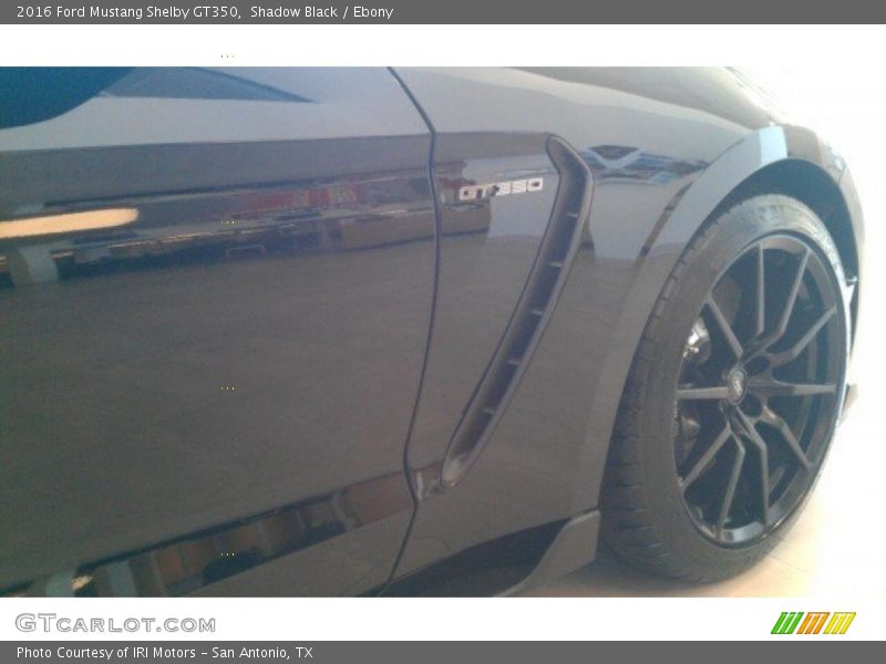 Shadow Black / Ebony 2016 Ford Mustang Shelby GT350