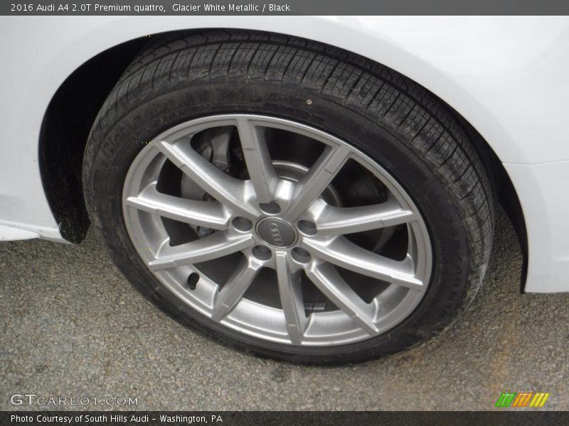 Glacier White Metallic / Black 2016 Audi A4 2.0T Premium quattro