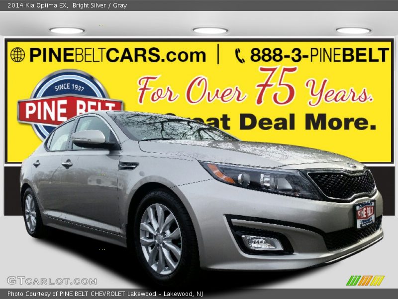 Bright Silver / Gray 2014 Kia Optima EX