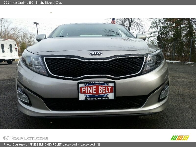Bright Silver / Gray 2014 Kia Optima EX