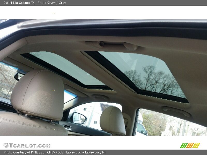 Bright Silver / Gray 2014 Kia Optima EX
