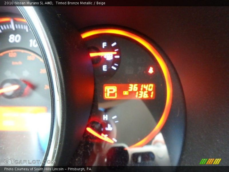 Tinted Bronze Metallic / Beige 2010 Nissan Murano SL AWD