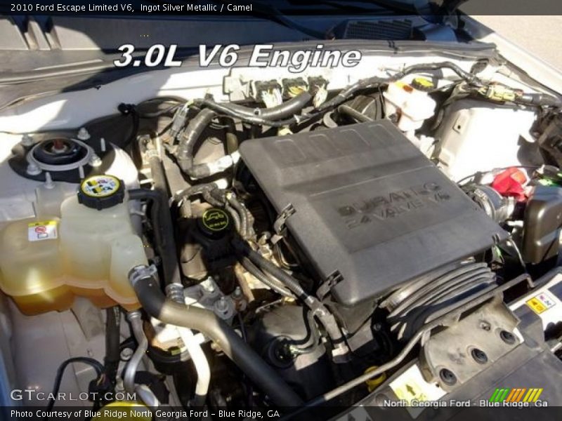 Ingot Silver Metallic / Camel 2010 Ford Escape Limited V6
