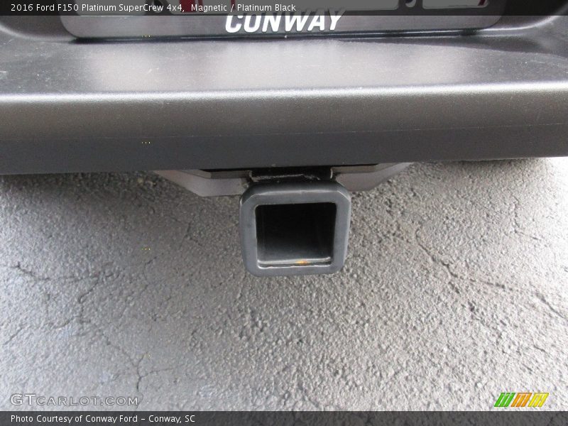 Magnetic / Platinum Black 2016 Ford F150 Platinum SuperCrew 4x4