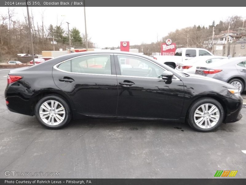 Obsidian Black / Black 2014 Lexus ES 350