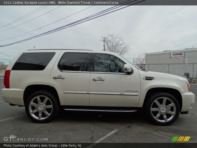 White Diamond Tricoat / Cashmere/Cocoa 2011 Cadillac Escalade Luxury AWD