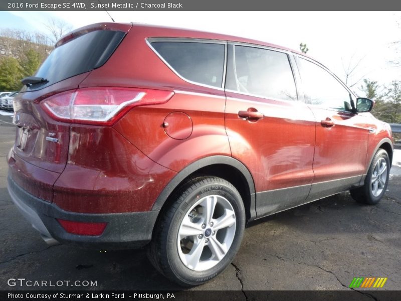 Sunset Metallic / Charcoal Black 2016 Ford Escape SE 4WD