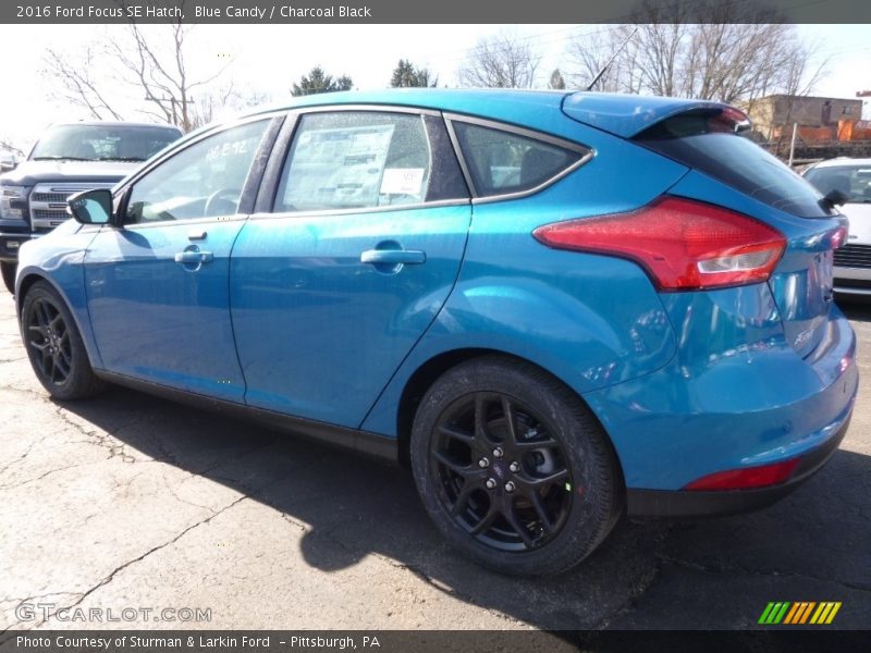 Blue Candy / Charcoal Black 2016 Ford Focus SE Hatch
