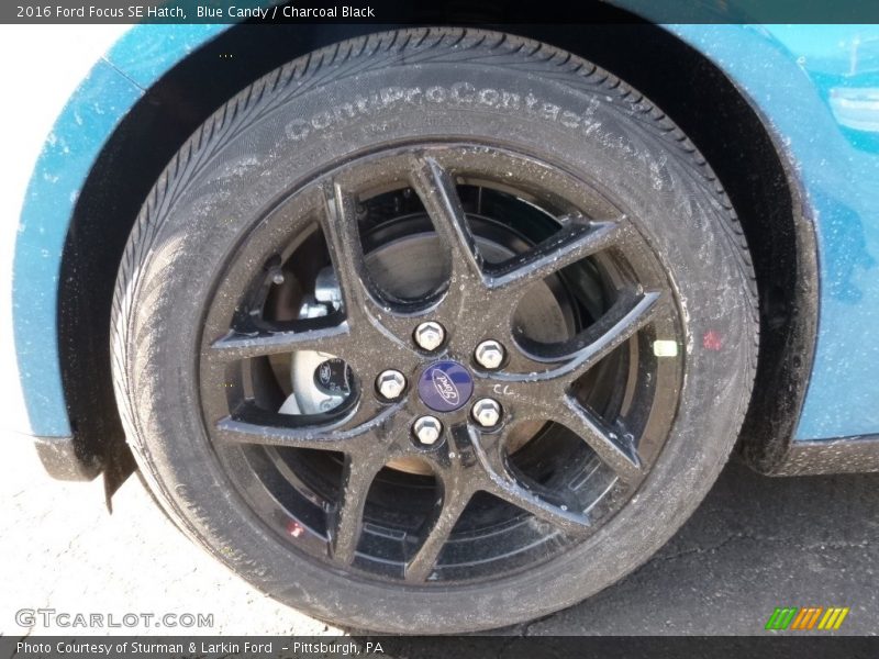 Blue Candy / Charcoal Black 2016 Ford Focus SE Hatch