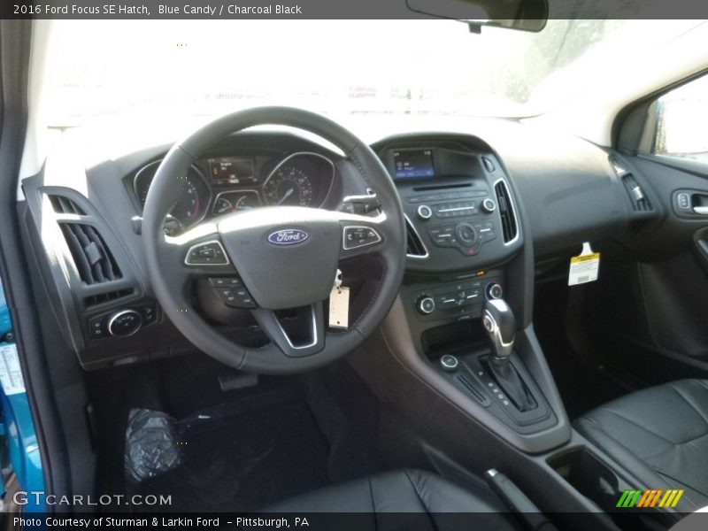 Blue Candy / Charcoal Black 2016 Ford Focus SE Hatch