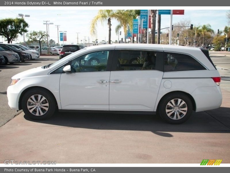 White Diamond Pearl / Truffle 2014 Honda Odyssey EX-L