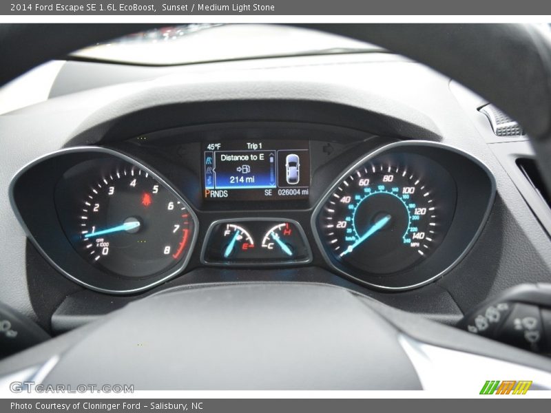 Sunset / Medium Light Stone 2014 Ford Escape SE 1.6L EcoBoost