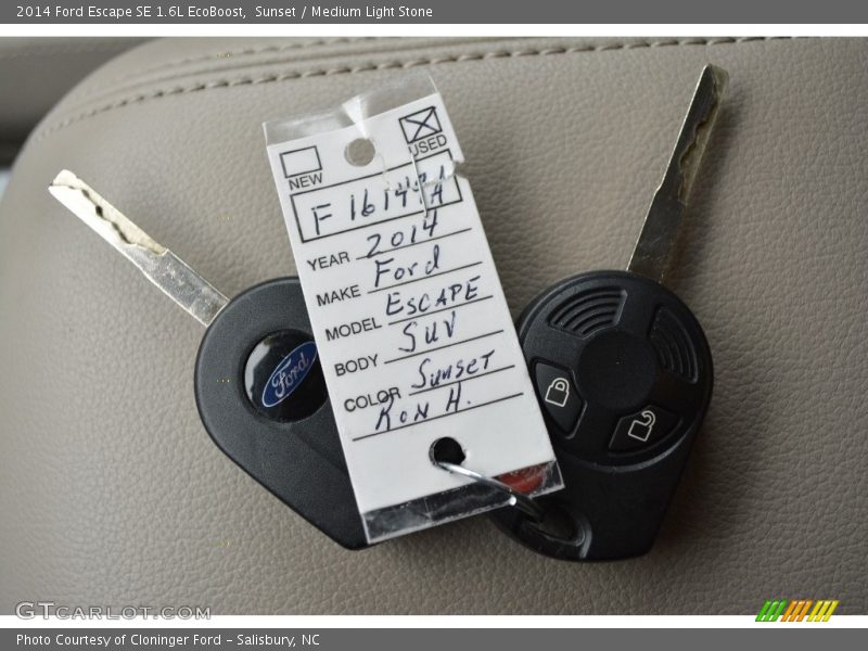 Sunset / Medium Light Stone 2014 Ford Escape SE 1.6L EcoBoost