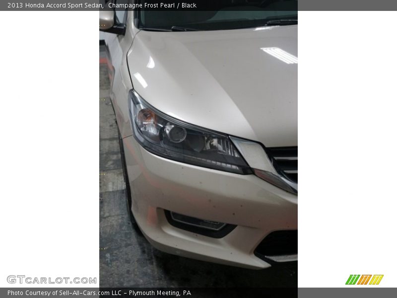 Champagne Frost Pearl / Black 2013 Honda Accord Sport Sedan