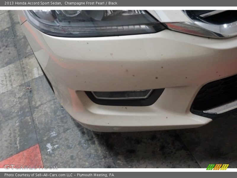 Champagne Frost Pearl / Black 2013 Honda Accord Sport Sedan