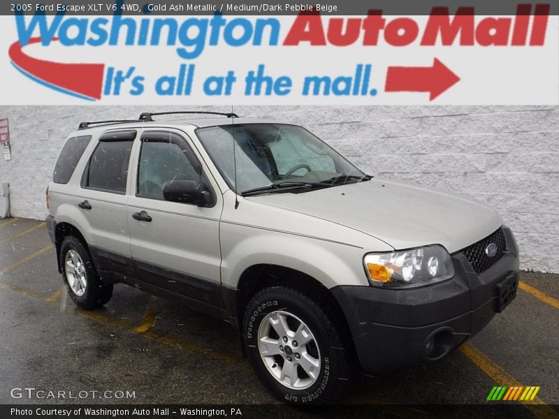 Gold Ash Metallic / Medium/Dark Pebble Beige 2005 Ford Escape XLT V6 4WD