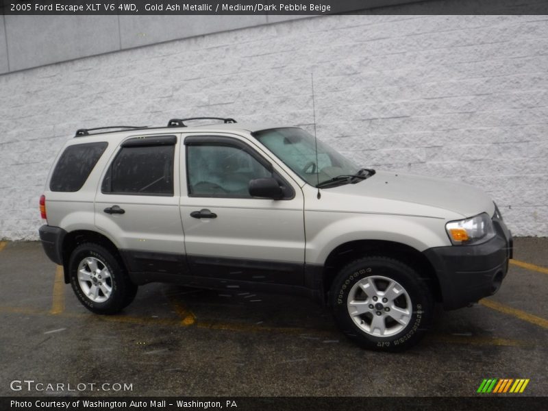 Gold Ash Metallic / Medium/Dark Pebble Beige 2005 Ford Escape XLT V6 4WD