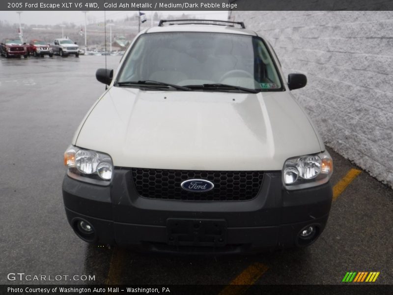 Gold Ash Metallic / Medium/Dark Pebble Beige 2005 Ford Escape XLT V6 4WD