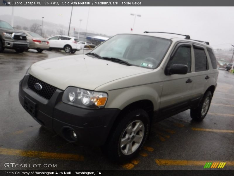 Gold Ash Metallic / Medium/Dark Pebble Beige 2005 Ford Escape XLT V6 4WD