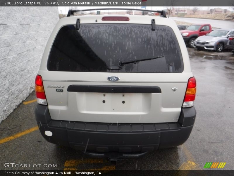 Gold Ash Metallic / Medium/Dark Pebble Beige 2005 Ford Escape XLT V6 4WD