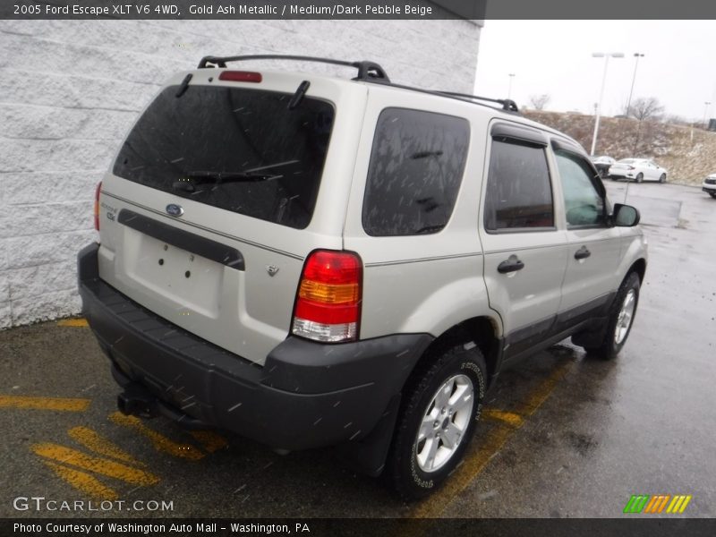 Gold Ash Metallic / Medium/Dark Pebble Beige 2005 Ford Escape XLT V6 4WD