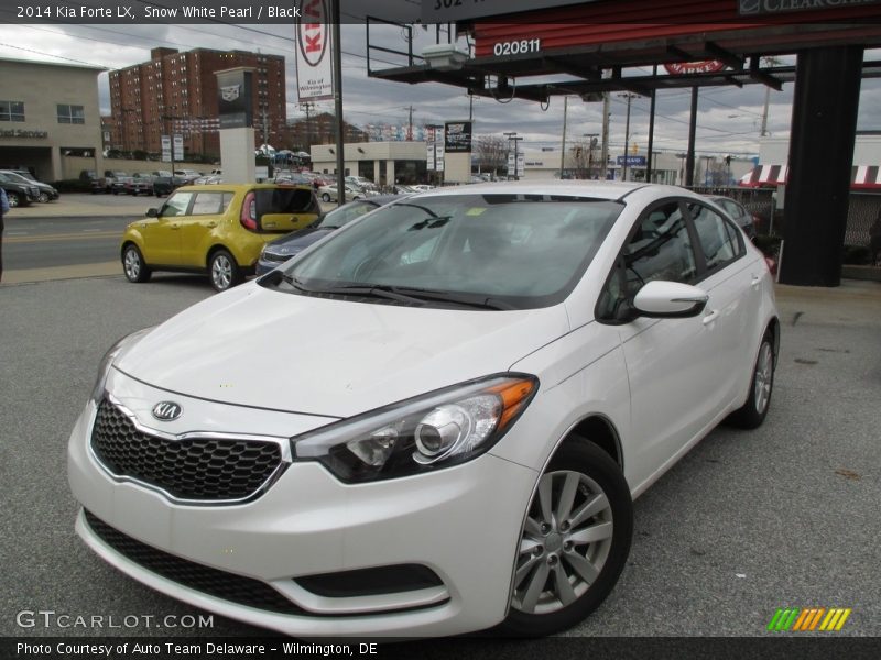 Snow White Pearl / Black 2014 Kia Forte LX