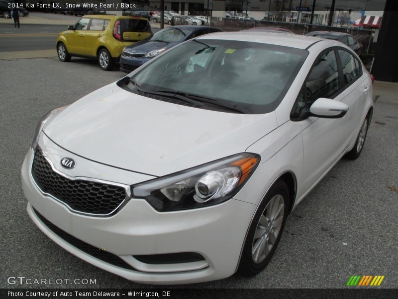 Snow White Pearl / Black 2014 Kia Forte LX