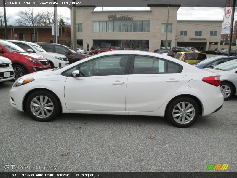 Snow White Pearl / Black 2014 Kia Forte LX