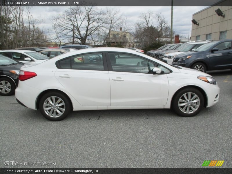 Snow White Pearl / Black 2014 Kia Forte LX